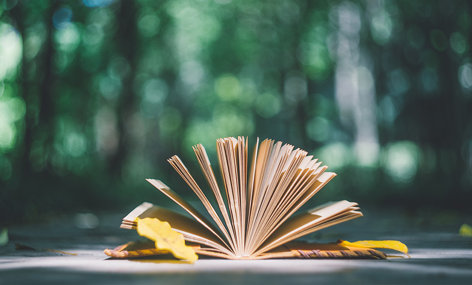 “先服务,后销售”自主研发、科技创新,品质筑品牌,细节出效益!